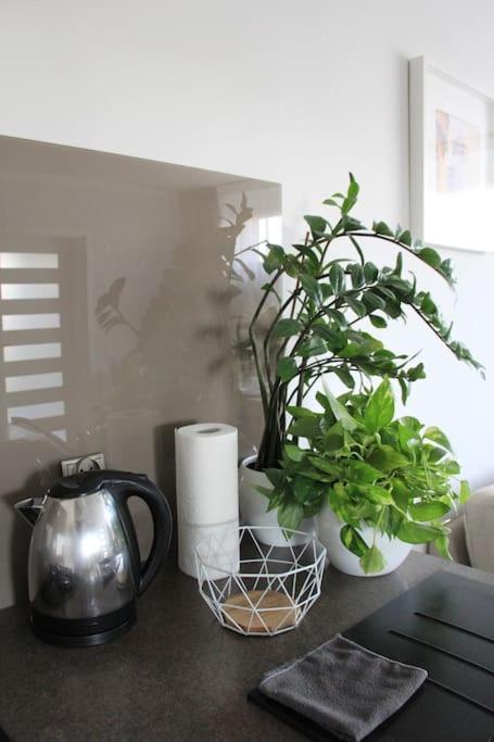 Apartament Uroczy, Jasny Apartament Oraz Bezplatny Parking! Kraków Zewnętrze zdjęcie
