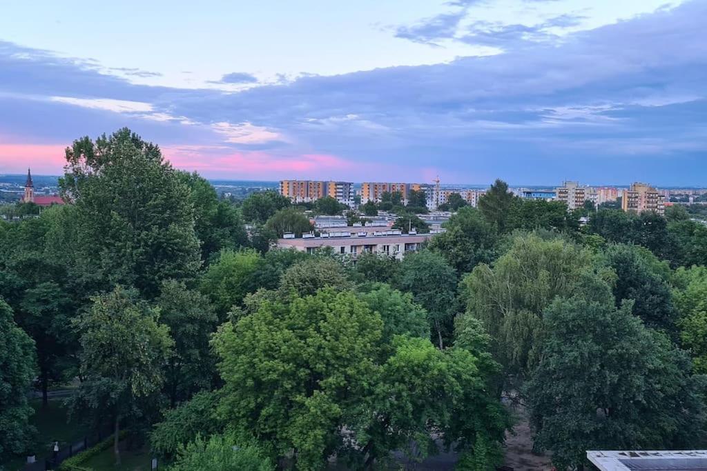 Apartament Uroczy, Jasny Apartament Oraz Bezplatny Parking! Kraków Zewnętrze zdjęcie