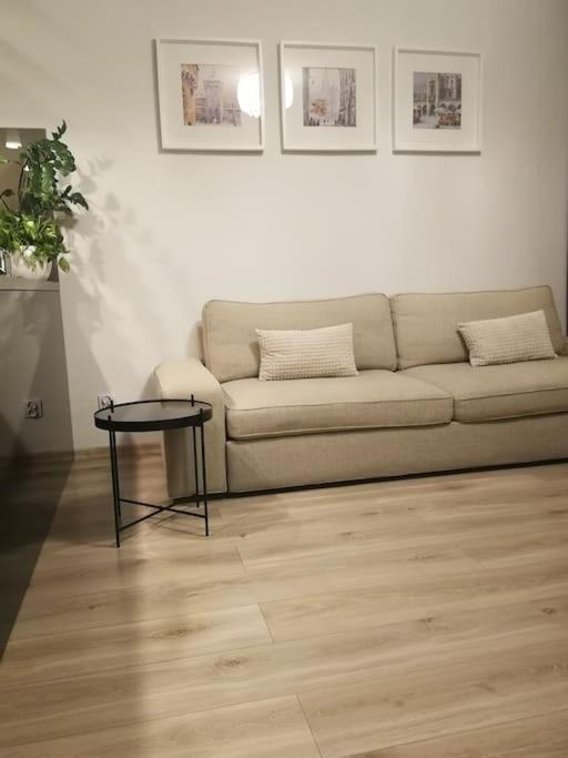 Apartament Uroczy, Jasny Apartament Oraz Bezplatny Parking! Kraków Zewnętrze zdjęcie
